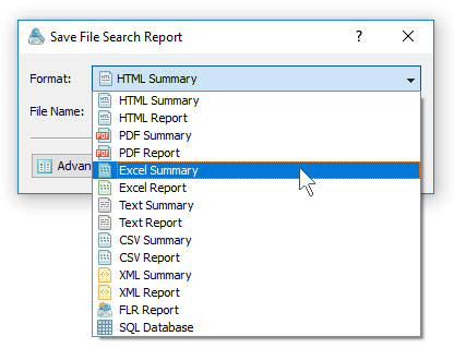VX Search Save Excel Summary Report